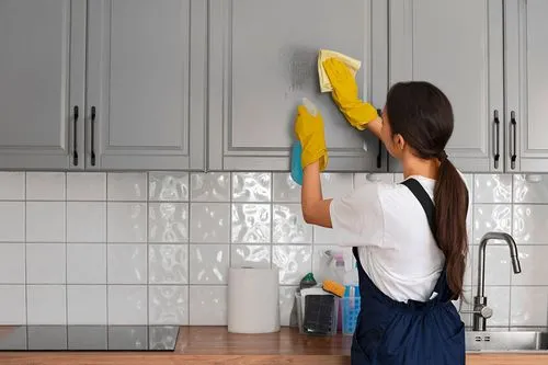 House Cleaning Service